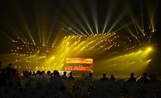 视觉设计机构甄选指南 赋能文化艺术交流与策划